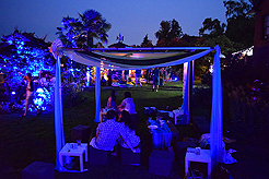 DAYLIGHT, DARK NIGHT AND BLUE SKIES WITH PAPA BUENO